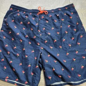 Men's Swim Trunks